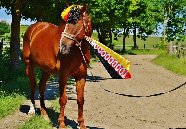 木个人精彩 木个人精彩