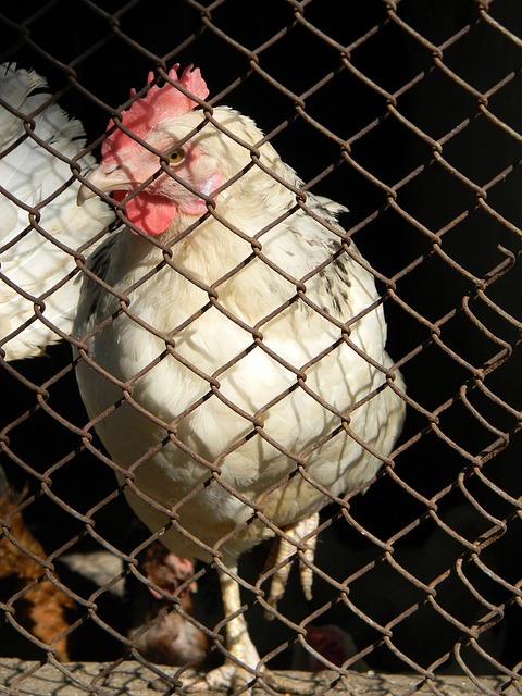 没有那么多 没有那么多