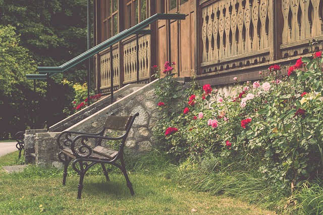 审视自己的 审视自己的