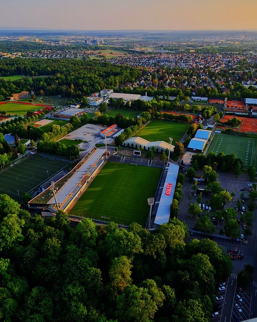 滑雪运动对 滑雪运动对