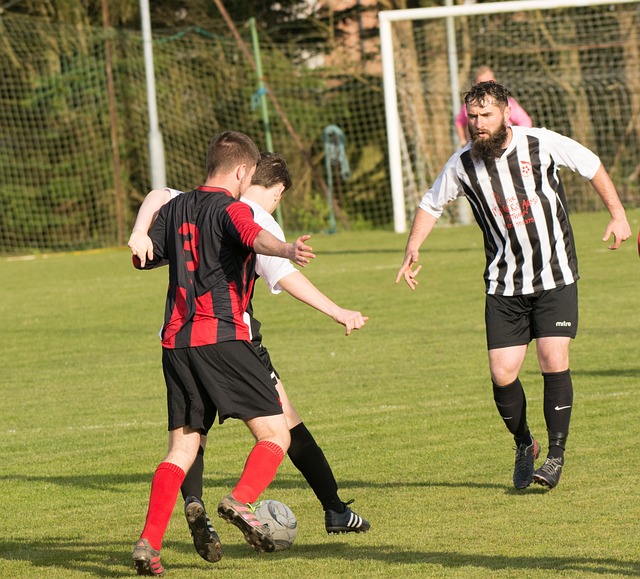 随着越来越 随着越来越